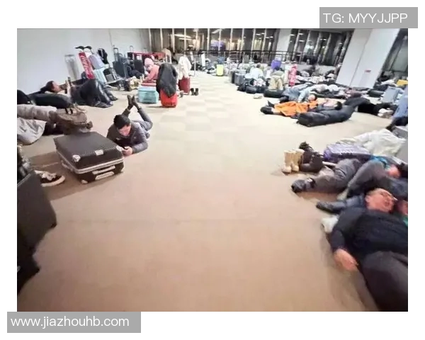 极限运动战术探秘：武汉极限运动队的创新阵地战体系解析