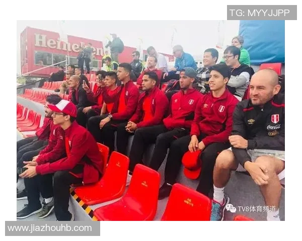 巴西与瑞士近期比赛回顾及精彩瞬间分析